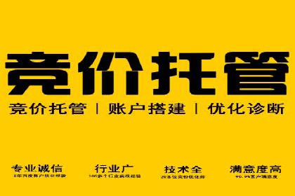 百度竞价排名机制：成功案例与策略探讨